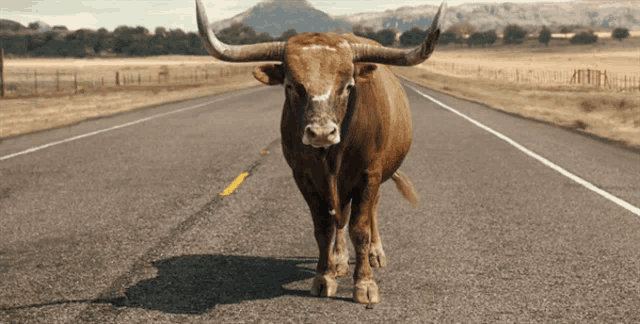 Big Bull Matthew Mcconaughey GIF - Big Bull Matthew Mcconaughey Blocking -  Discover & Share GIFs