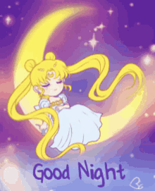 good night princess serena moon