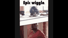 Epic Wiggle GIF - Shaq Wiggle Cat GIFs