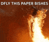 a dragon with flames coming out of its mouth and the words `` dfly this paper dishes '' .