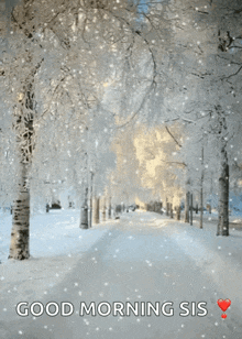 Snowing Winter GIF - Snowing Winter Snow GIFs