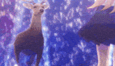 Shikanokono My Deer Friend Nokotan GIF - Shikanokono My Deer Friend Nokotan Nokotan GIFs