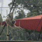a red umbrella is behind a fence with a spider hanging from it