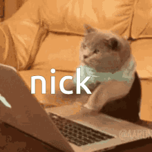 Cat Typing Nick GIF - Cat Typing Nick GIFs