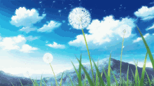 Anime Sky GIF - Anime Sky Dandelion GIFs