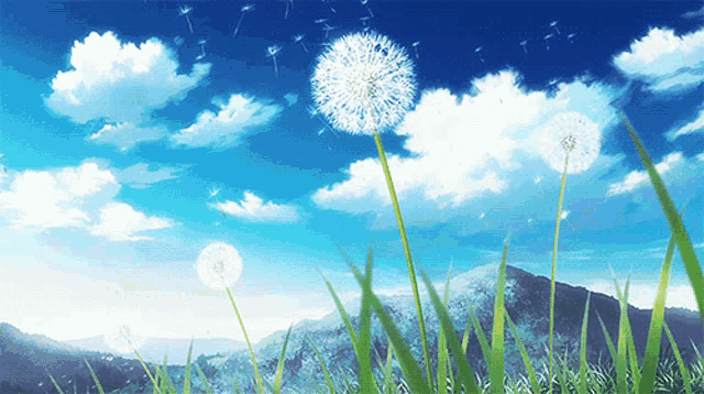 Teru Sakurada | Castle Town Dandelion | Anime Characters Database | Anime  characters, Anime, Dandelion