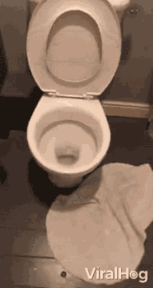Toilet Bowl Viralhog GIF - Toilet Bowl Viralhog Water GIFs