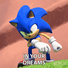 In Your Dreams Sonic The Hedgehog GIF - In Your Dreams Sonic The Hedgehog Sonic Prime GIFs