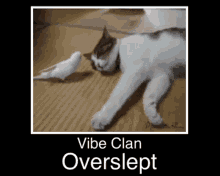 Vibe Vibing GIF - Vibe Vibing Vibe Clan GIFs