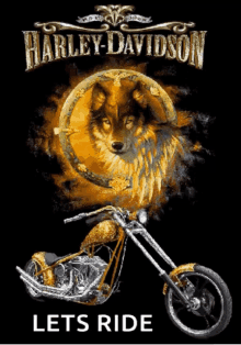 wolf harley davidson bike motor lets ride