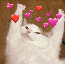 a white cat is laying down with its arms in the air and hearts around its head