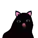a black cat with pink ears and its tongue out .