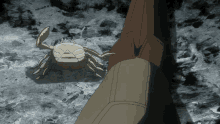 Crab Are You There GIF - Crab Are You There Wake Up GIFs