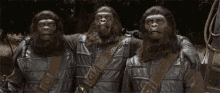 Cackling Apes GIF - Planet Of The Apes Lol Squad Goal GIFs