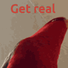 Get Real Parrot GIF