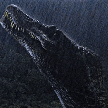 a close up of a dinosaur 's head in the rain .