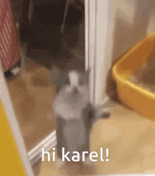 Hi Karel Ahoj Karle GIF - Hi Karel Ahoj Karle Karel GIFs