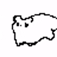 rolling cat