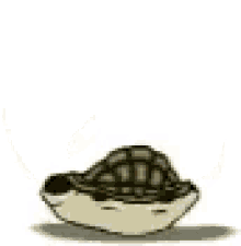 Turtle GIF