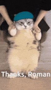 Cat Dance GIF - Cat Dance GIFs