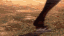 a close up of a person 's leg walking on the grass