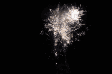 Firework Sparks GIF - Firework Sparks Sparkle GIFs
