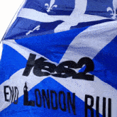 Yes2indee Scotland GIF - Yes2indee Scotland Yesscots GIFs