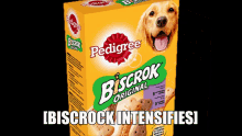 Biscrock Intensifies GIF - Biscrock Intensifies Biscrock Intensifies GIFs