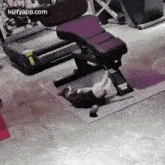 First Day At Gym.Gif GIF - First Day At Gym Cat Pilli GIFs