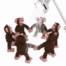 Monkey Monkeys Showering GIF