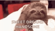 Sweet Dreams Handsome Goodnight GIF - Sweet Dreams Handsome Goodnight Sleep Tight GIFs
