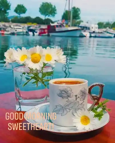 Good Morning Good Morning Sweet Message GIF - Good Morning Good Morning Sweet Message Coffee GIFs