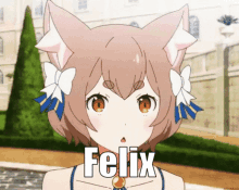 Felix Trap GIF - Felix Trap Felix Cat GIFs