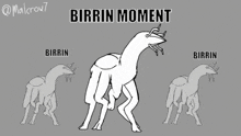 Birrin Dance GIF - Birrin Dance Alien GIFs
