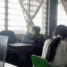a group of people are sitting at desks in front of a window with a curtain hanging from it