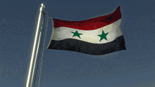 a flag with two green stars on it is flying in the wind