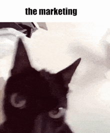 The Voices Cat GIF - The Voices Cat Shaking GIFs