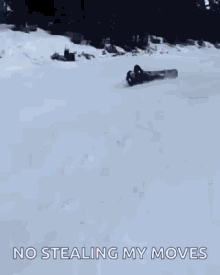 ski slide snow skiing sliding into dm