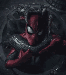 Spiderman Lizard Backshot GIF