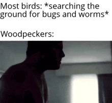a meme about birds searching the ground for bugs and worms and woodpeckers searching the ground for bugs and worms