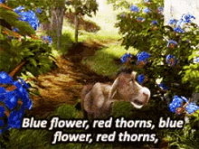 Shred Donkey GIF - Shred Donkey Blue Flower GIFs