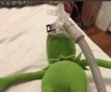 GIF