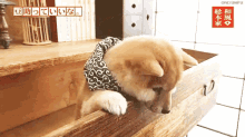 Dog Drawer GIF - Dog Drawer Shiba Inu GIFs