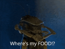 Where'S My Food Wheres My Food GIF - Where'S My Food Wheres My Food A Bugs Life GIFs