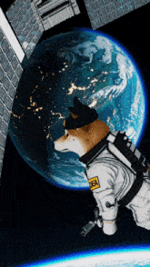 a dog in a space suit with a dea patch