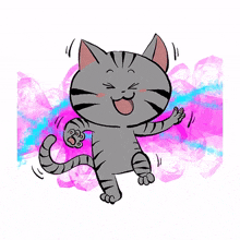 cute cat kitty gray happy