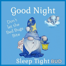a picture of a gnome with a lantern says good night do n't let the bed bugs bite