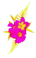 pink and yellow flowers on a white background with picmix written on the bottom