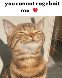 a picture of a cat with the words you cannot ragebait me