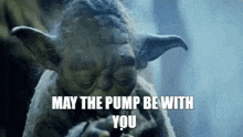 a statue of yoda is smoking a cigarette and says `` may the pump be with you '' .
